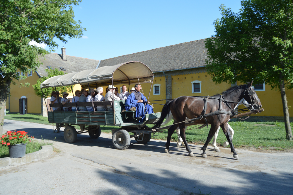 Shore Excursion Puszta Horse Farm.jpg